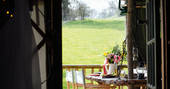 Looking outside from the Jericho Yurt with a green view and bunch of flowers.