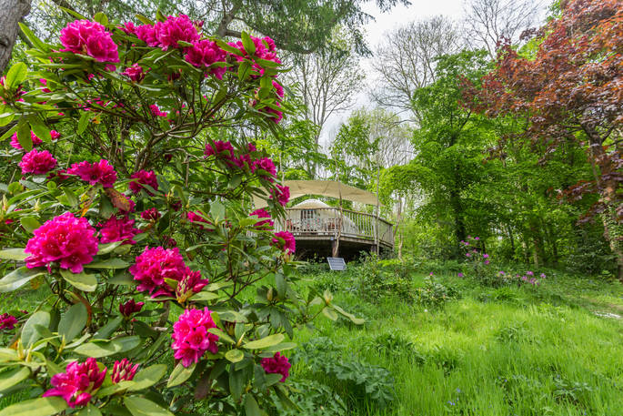 Flowers in bloom with Old Larch Yurt secluded in woodland at Bodynfoel Hall in Powys, Wales