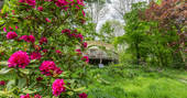 Flowers in bloom with Old Larch Yurt secluded in woodland at Bodynfoel Hall in Powys, Wales