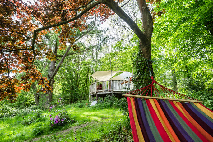 Laze in the hammock at Old Larch Yurt under the shade of the neighbouring trees 