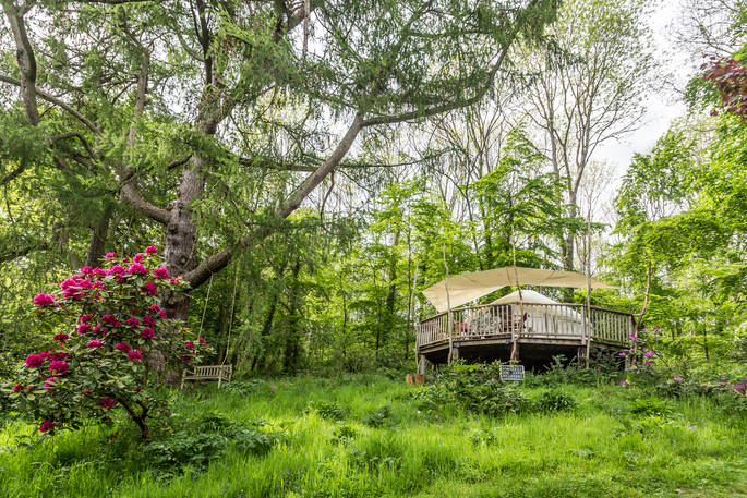 Old Larch Yurt nestled in the woods at Bodynfoel Hall in Powys, Wales