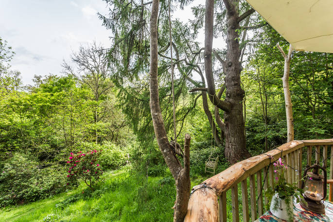 View of the surrounding woodland from Old Larch Yurt's raised deck