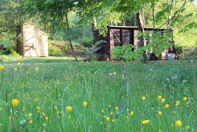 danyfan carriage train powys wales glamping exterior buttercups in sunny green meadow