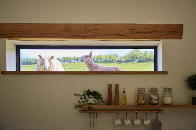 Watch the sheep peep through the kitchen window inside The Burrow 