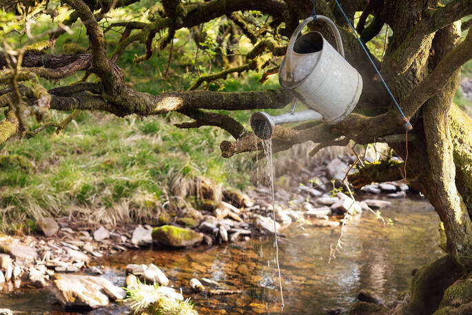 Watering can shower 2