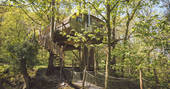 Living Room Treehouses, Powys (15)