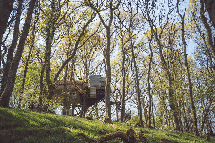Living Room Treehouses, Powys (6)