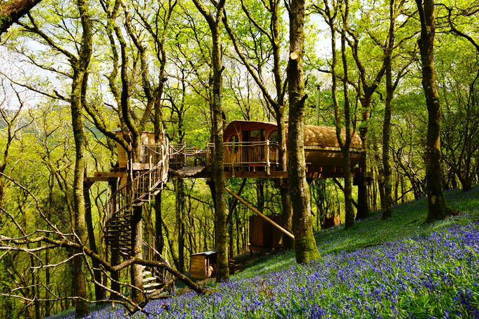 Living room treehouse in the middle of the bluebells and forest in Powys, Wales 