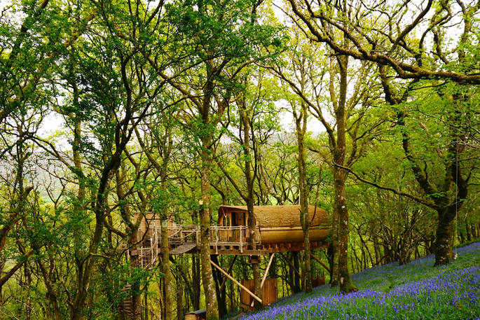 Hengoed Treehouse In Powys Canopy, Living Room Treehouses