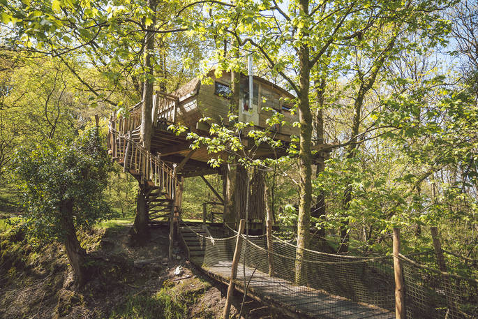 Living Room Treehouses, Powys (15)
