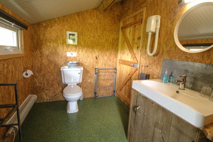 Bathroom with a shower, sink and flushing toilet