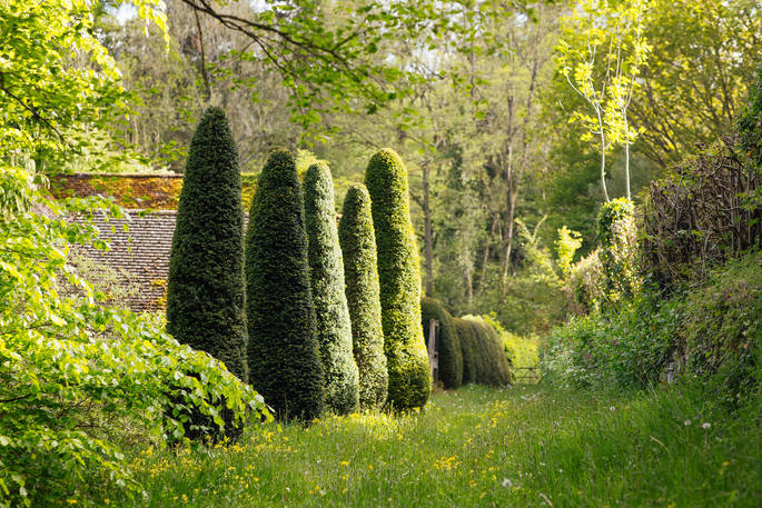 Plas Bach cabin - garden, at Hay-on-Wye, Powys, Wales - Owen Howells photography