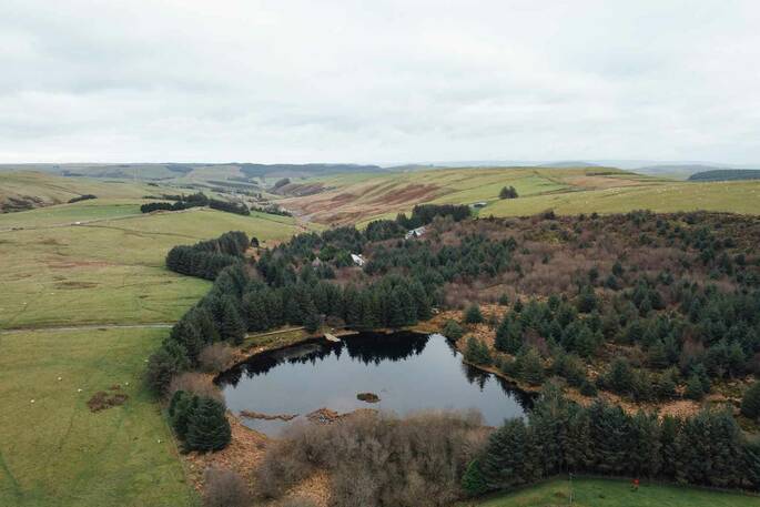 Green Retreat from above