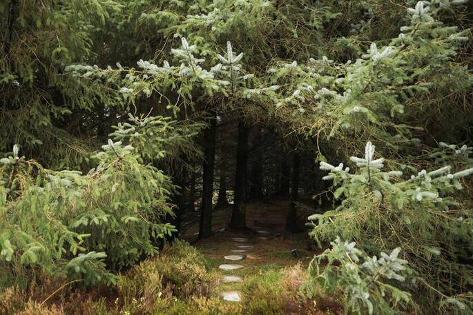 Walk through the woodland to your hut