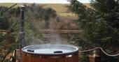 Wood-fired hot tub