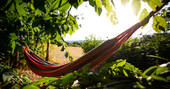 Relax in the comfortable hammock at Dragon's Cruck, Sunnylea