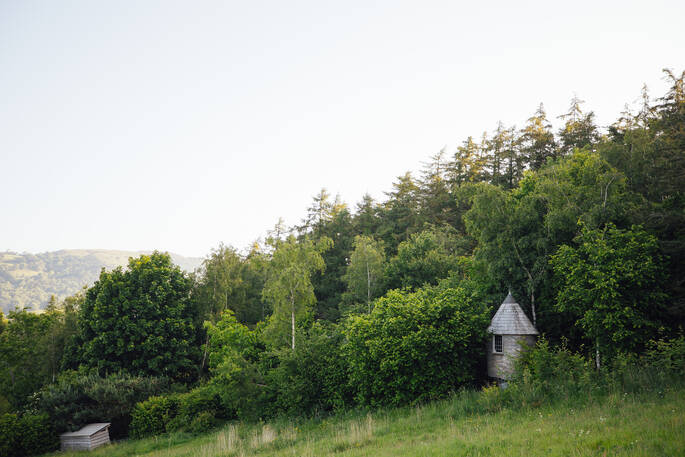 Sunnylea site the forest