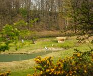 Sylvan Spaces