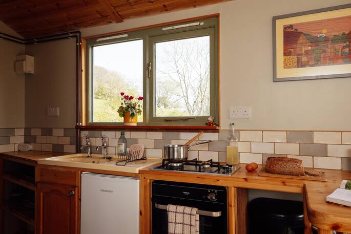 Kitchen equipped with a hob, oven and undercounter fridge