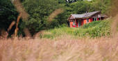 A view of Straw Cottage across the long grass in Powys, Wales