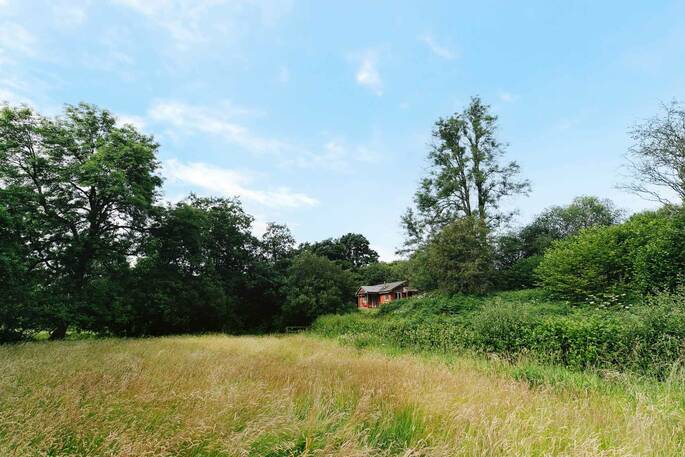 Area surrounding straw cottage