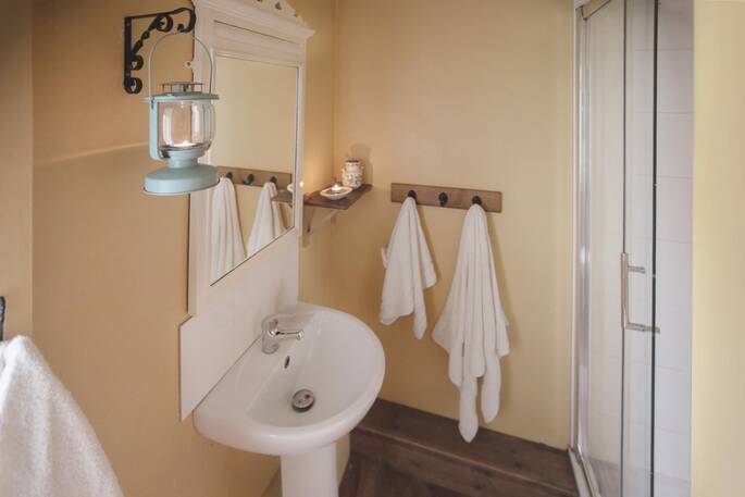 Bathroom with a shower, sink and flushing toilet