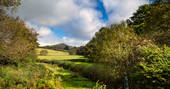 Beautiful views and walks straight from the door at The Straw Cottage in Powys, Wales