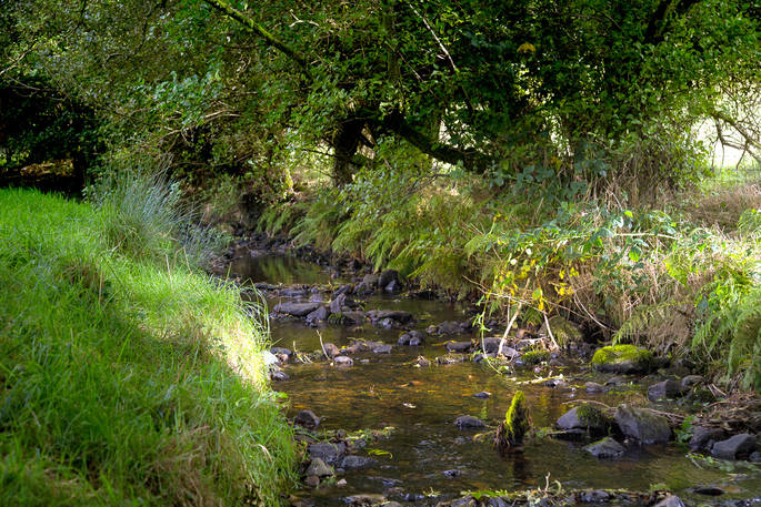 Dip your toes in the stream at The Straw Cottage in Powys, Wales