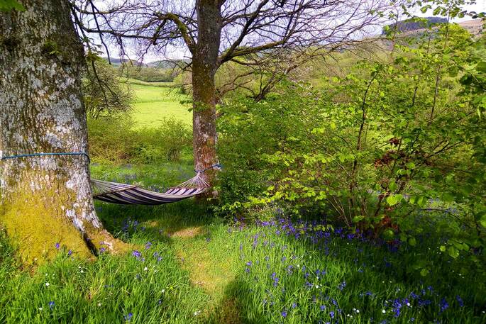 Straw Cottage hammock