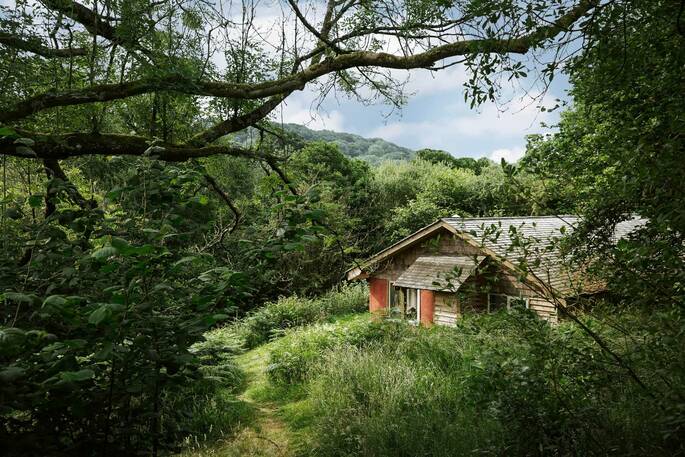 The Straw Cottage peeking through the trees in Powys, Wales