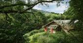 The Straw Cottage peeking through the trees in Powys, Wales