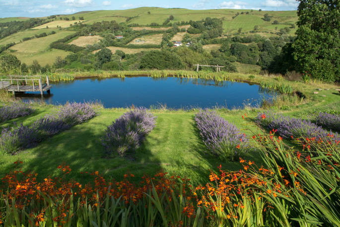 Pantechnicon Powys at Welsh Lavender in Powys 