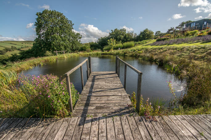 Why not spend the afternoon wild swimming just outside your truck at Welsh Lavender in Powys 