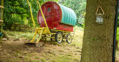 Rustic gypsy caravan next to the treehouse at Copse Camp in Denbighshire 