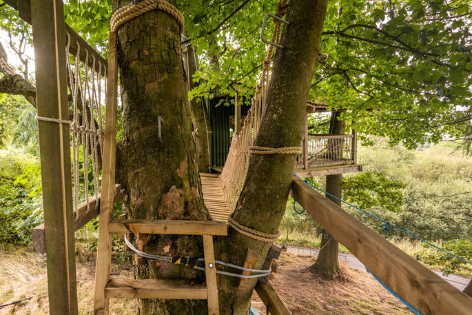 Structure of treehouse and entrance 