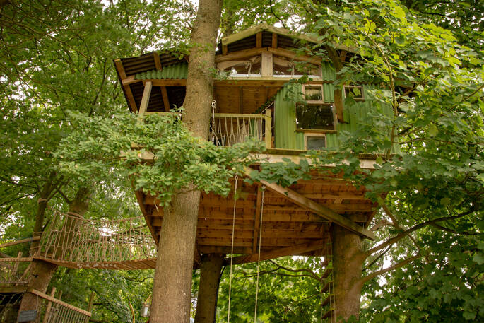 Treehouse hidden in the midst of the trees at Copse Camp in Denbighshire 