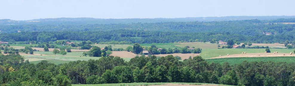 View from treehouses