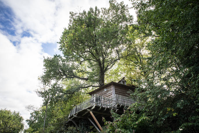 Looking up at Gauthie Lakeside Treehouse, Dordogne, France