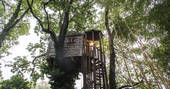 Looking up at Gauthie Treehouse Cabin through the trees, Dordogne, France