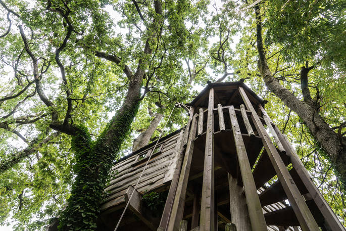 Looking up at the spiral staircase at Gauthie Treehouse Cabin, Dordogne, France