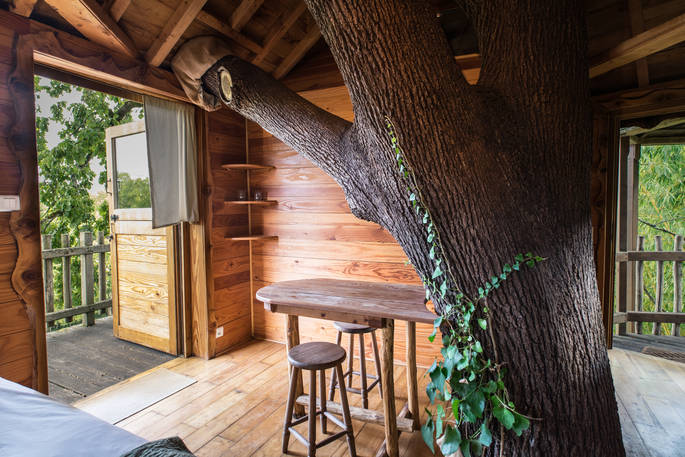 Tree growing through the dining area at Gauthie Treehouse Cabin, Dordogne, France