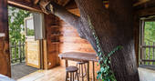Tree growing through the dining area at Gauthie Treehouse Cabin, Dordogne, France