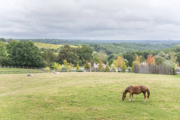 The view with a horse at Monbazillac Treehouse, Châteaux dans les Arbres, Dordogne, France