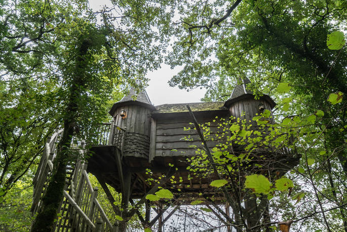 Looking up at Monbazillac Treehouse through the trees at Châteaux dans les Arbres, Dordogne, France
