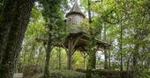 Monbazillac Treehouse in the trees, Châteaux dans les Arbres, Dordogne, France