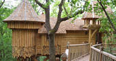 Puybeton treehouse dordogne france europe european glamping holidays exterior view leafy forest woodland