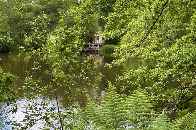 18. Longview Fisherman's Cabin