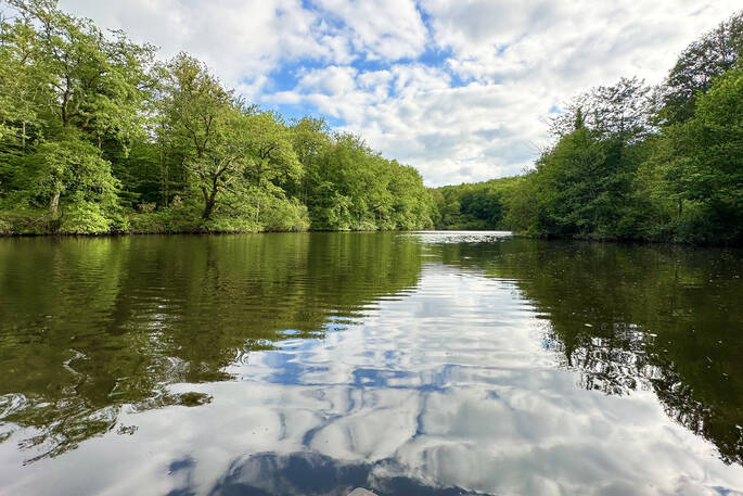 7. Lakeview Fisherman's Cabin