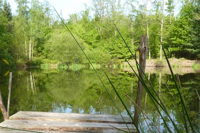 woodsman's cabin covert cabin lake