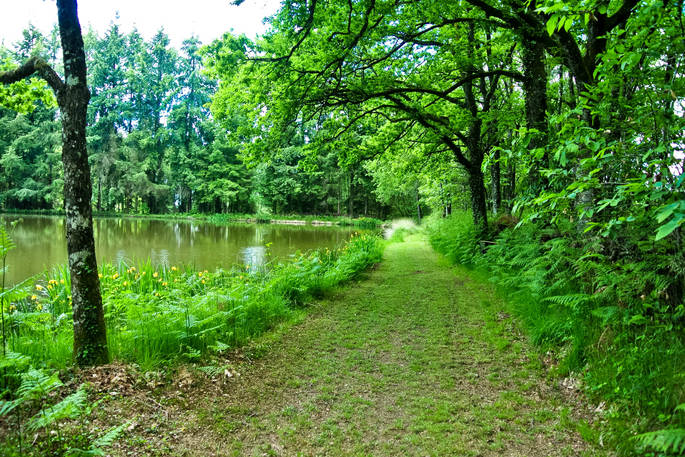 Take a walk around the private lake at GoGreen Roulette in Dordogne, France